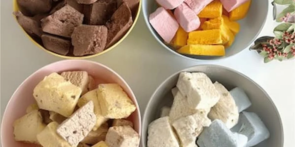 بستنی خشک عمده + قیمت خرید