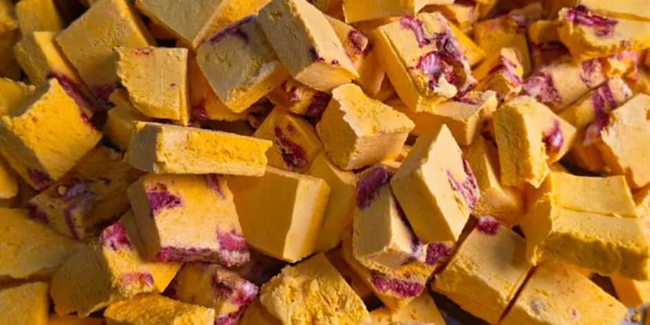 بهترین گزینه برای خرید بستنی خشک عمده در ایران